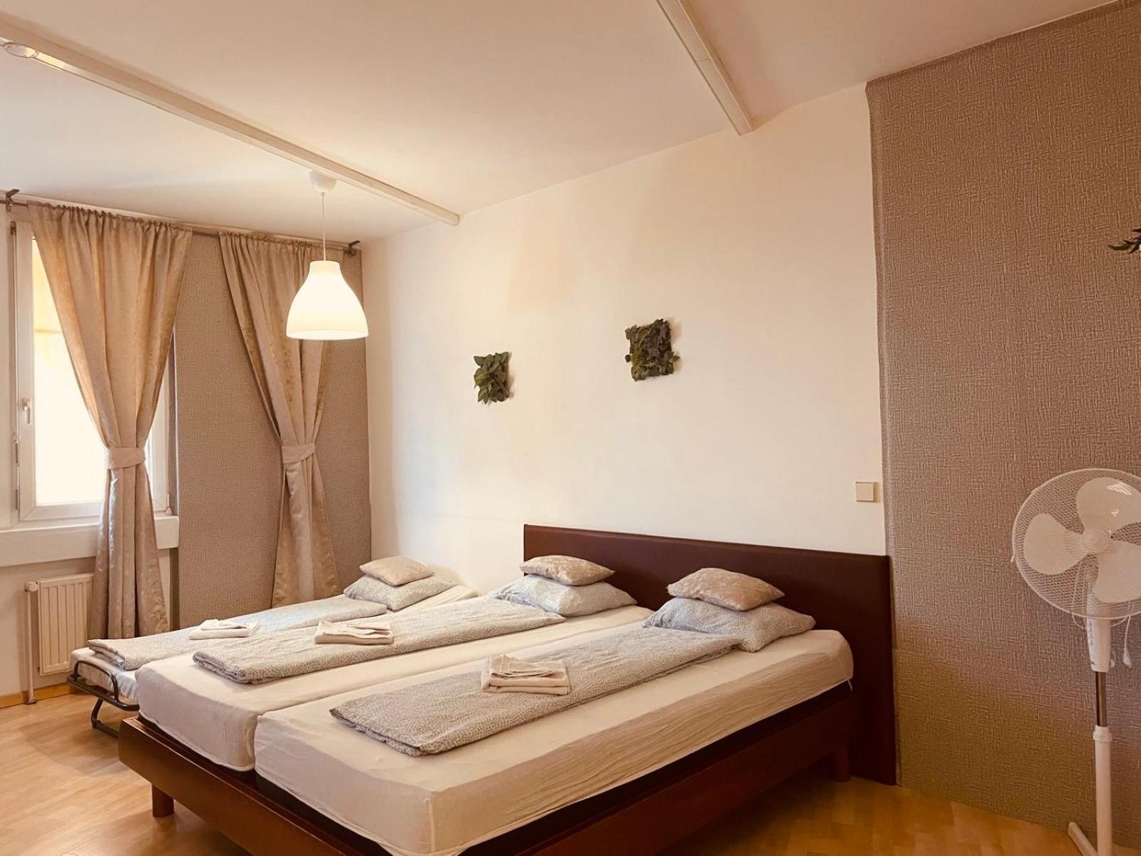 Veni Apartments กราซ ภายนอก รูปภาพ